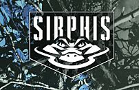 Sirphis