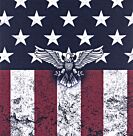 Color Guard Eagle 8"x8"