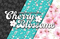 Cherry Blossoms