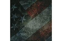 .080 Amer Flag & Skull 8"x8"