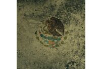 .080 Mex Flag Bird 8"x8"