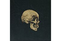 .080 Skull Plain 8"x8"